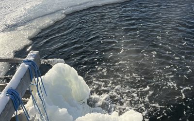 Avantouinti, kylmäallas ja naisten hyvinvointi – mitä tutkimukset todella kertovat?